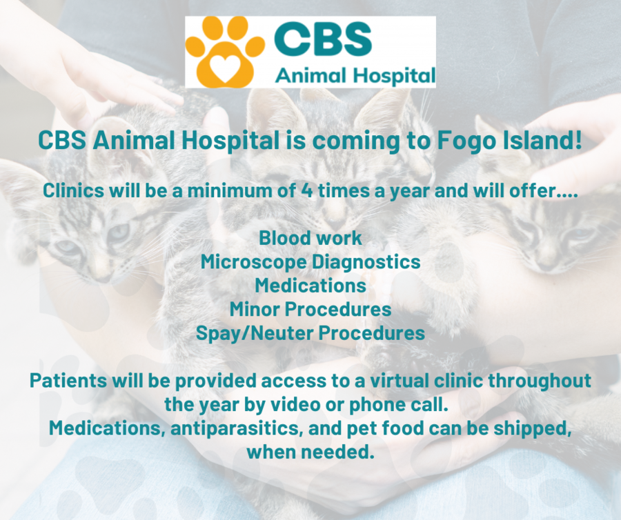 The Town of Fogo Island is very pleased to share with residents a message from CBS Animal Hospital  In partnership with CBS Animal Hospital we are offering a remote service veterinary clinic on Fogo Island July 30, 31 and August 1   Location: Joe Batt's Arm Hall, side entrance  We are offering  appointments  for vaccines and sick pet appointments, as well as surgery for spay/neuter services.   We will also be able to offer blood testing, diagnostic work with microscope,  parasite prevention and prescription medications.   Appointments can be booked by emailing fogoclinic@cbsanimalhospital.com   Or by calling 709-240-2288  Please be patient- we will need to collect more information than usual as we have to ensure we bring enough supplies with us to serve your pets!   Thank you for your support and we look forward to serving you and your pets.