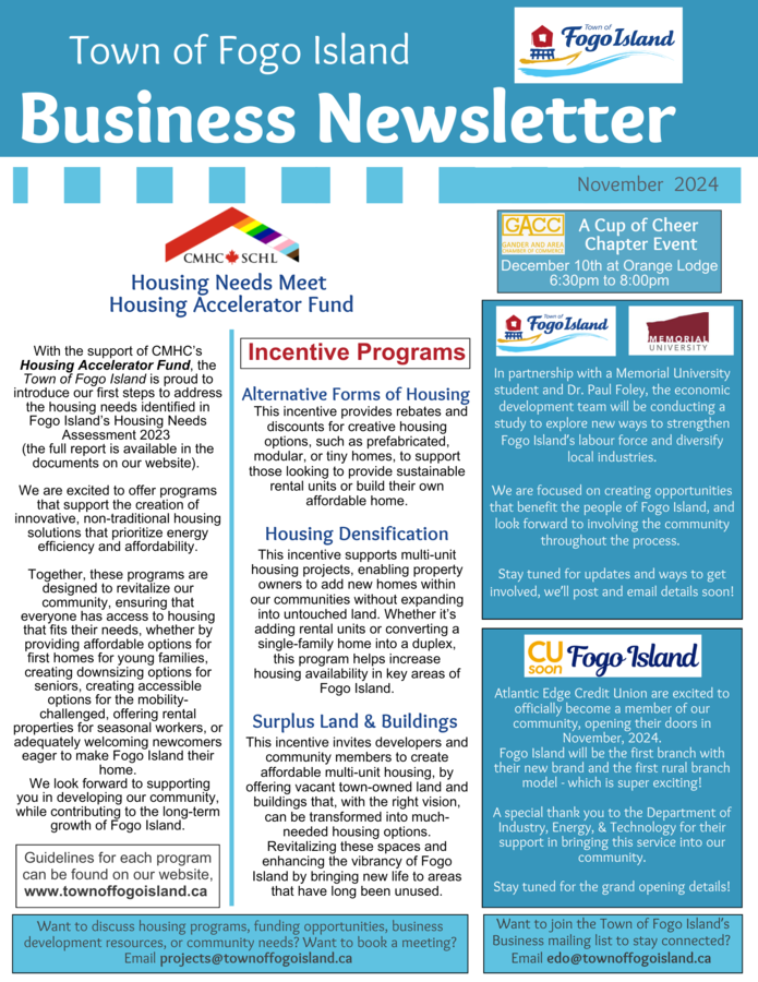 Business Newsletter November 2024